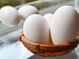 Bà bầu ăn trứng ngỗng từ khi nào cho thai nhi thông minh