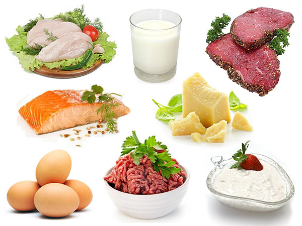 4, Protein 1