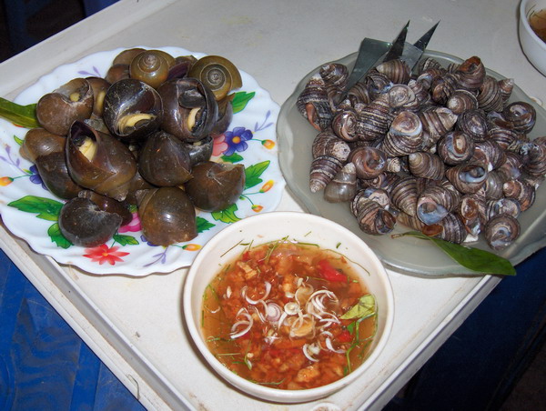 Bà bầu có nên ăn ốc không? 1