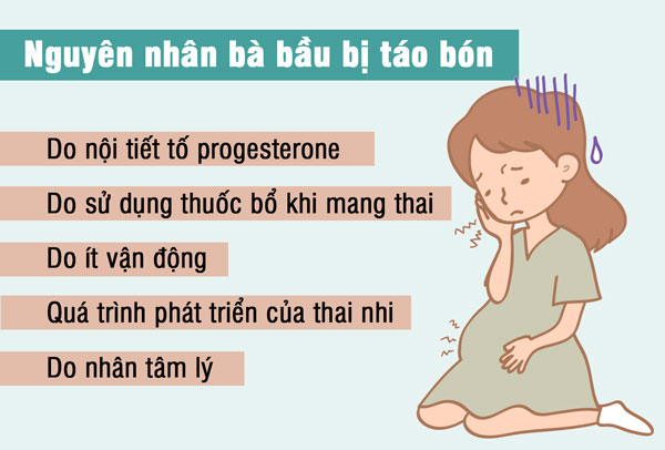 Tại sao bà bầu bị táo bón khi mang thai? 1