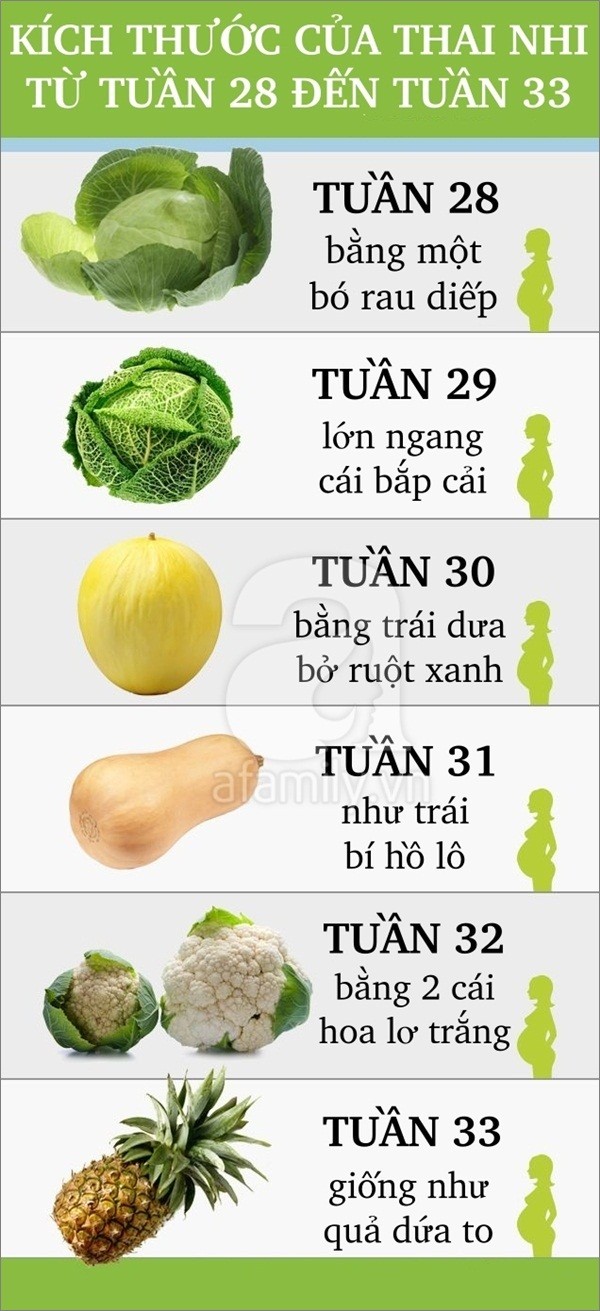 Sự phát triển của thai nhi trong 3 tháng cuối thai kỳ P.3 1