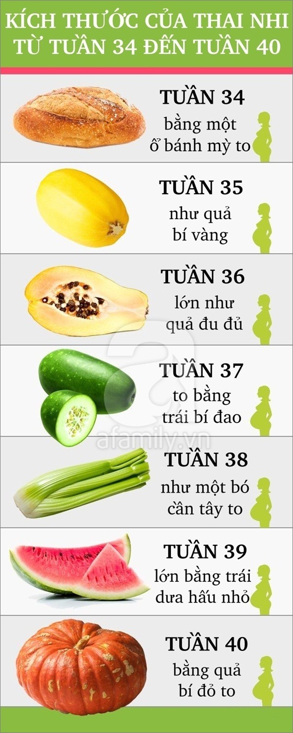 Tuần 32: 1