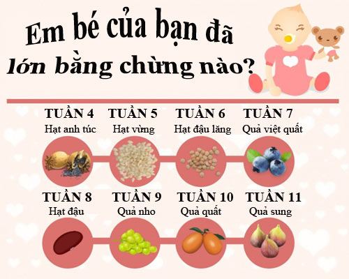 Tuần 9 và tuần 10: 1