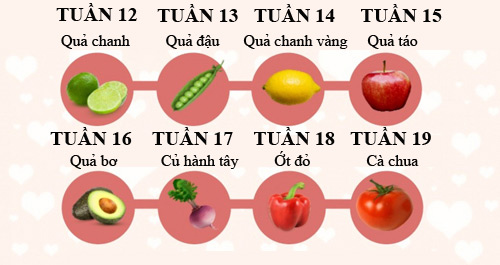 Sự phát triển của thai nhi trong 3 tháng giữa thai kỳ P.2 1