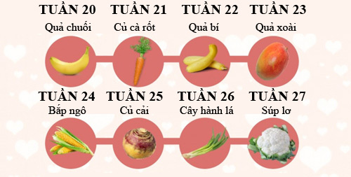 Tuần 19: 1
