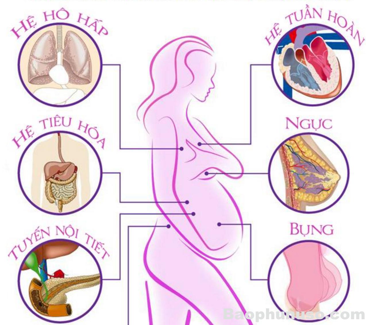 Cơ thể người mẹ khi mang thai sẽ thay đổi như thế nào? 1