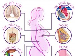 Cơ thể người mẹ khi mang thai sẽ thay đổi như thế nào?