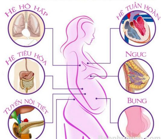 Cơ thể người mẹ khi mang thai sẽ thay đổi như thế nào?