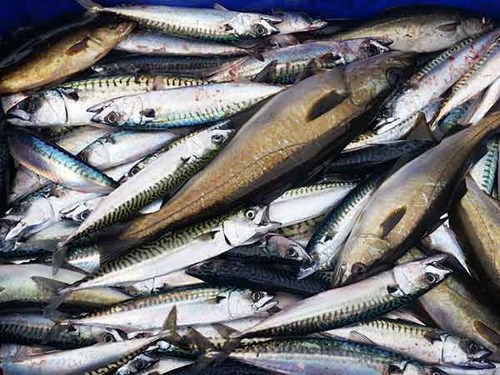 8 nhóm thực phẩm bà bầu cần tránh khi mang thai 1