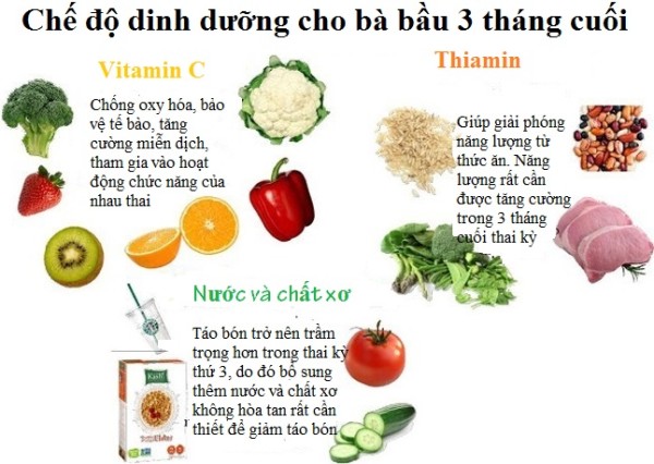 3/ Thời kì 3 tháng cuối 1