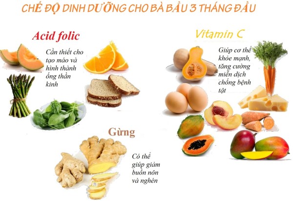 1/ Thời kì 3 tháng đầu 1