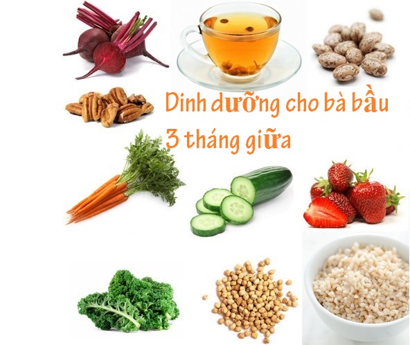 2/ Thời kỳ 3 tháng giữa (mang thai tháng thứ 3 đến hết tháng thứ 6) 1
